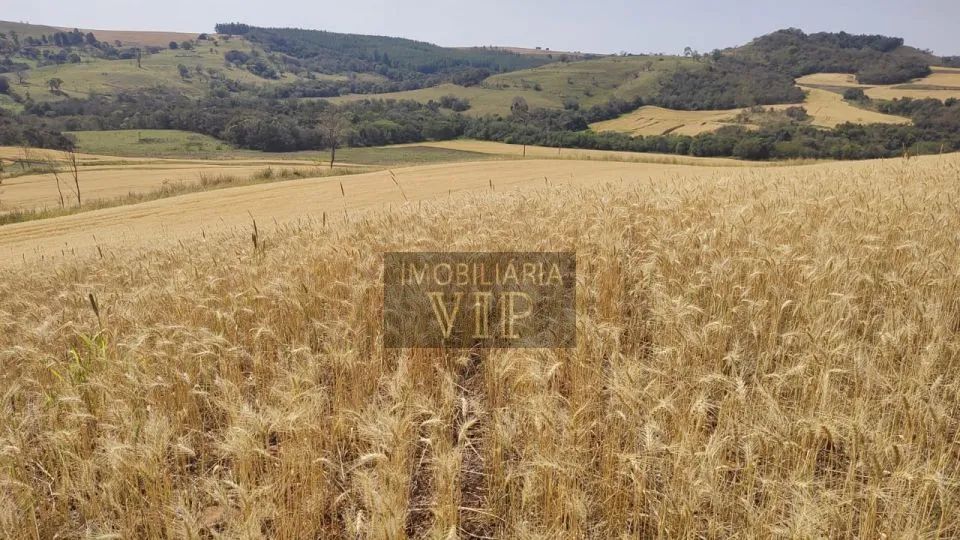 ZONA RURAL - ABATIA PR - Foto 5