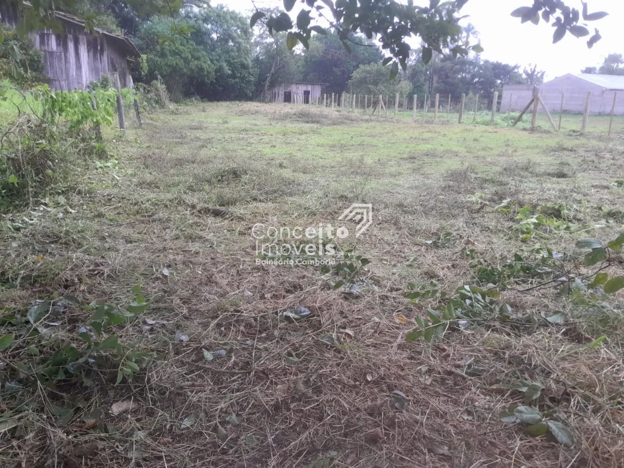 Terreno - Penha - Foto 2