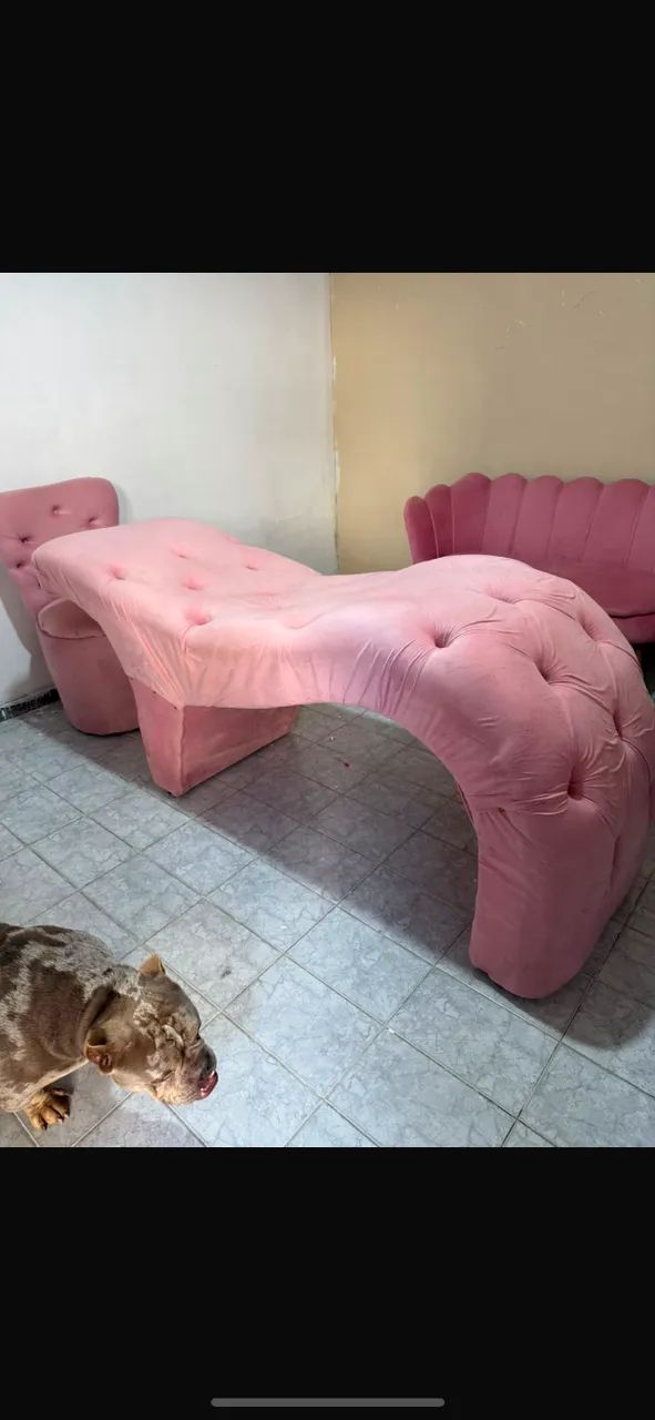 Maca, sofá, cadeira e encosto.  - Foto 4