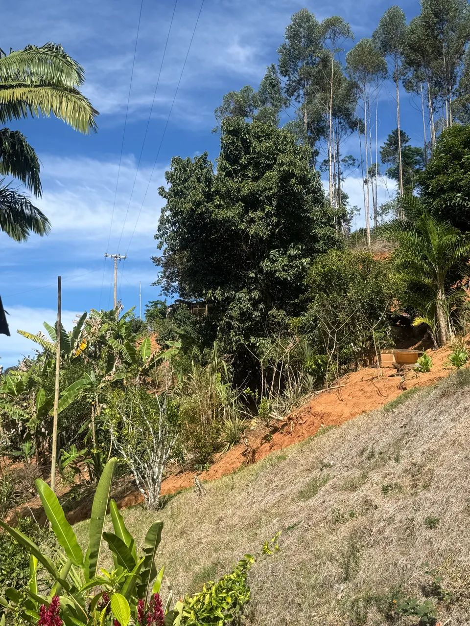 SÍTIO SANTA LEOPOLDINA - OPORTUNIDADE  - Foto 3