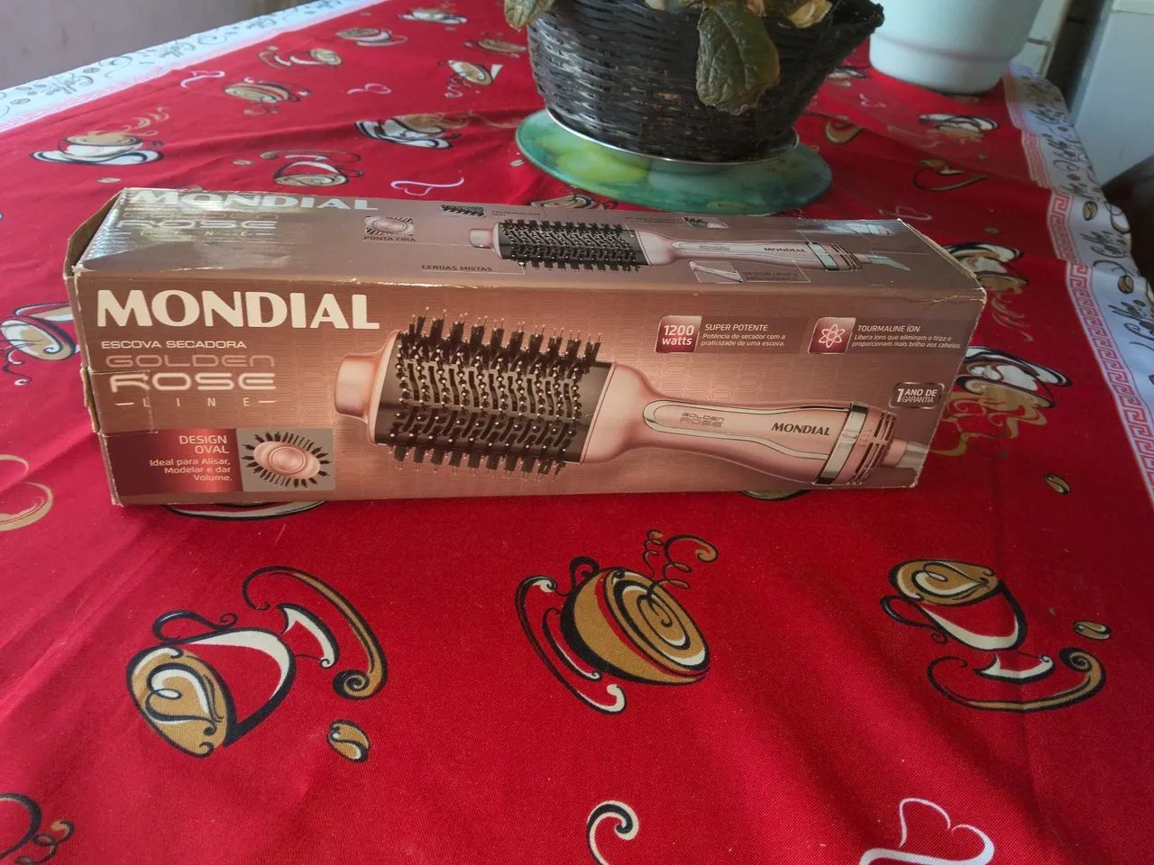 Escova secadora 