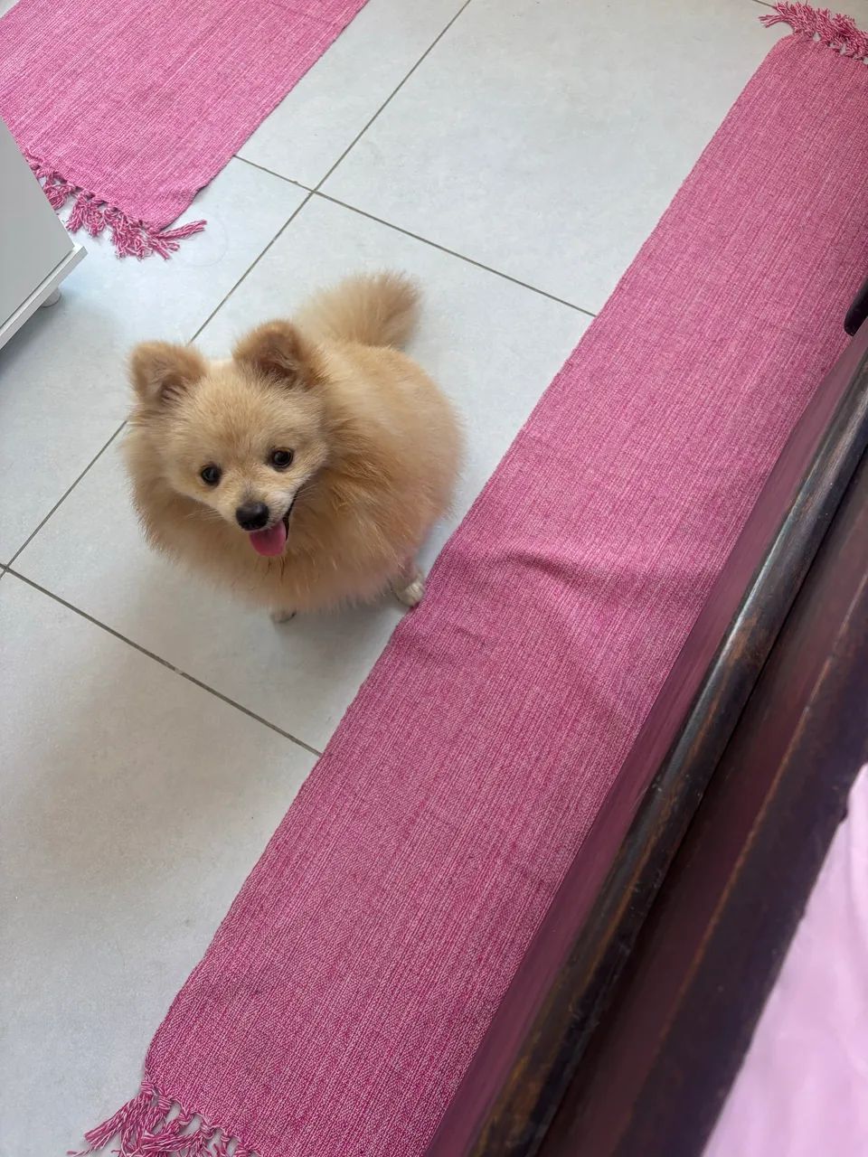 Lulu  - Foto 2