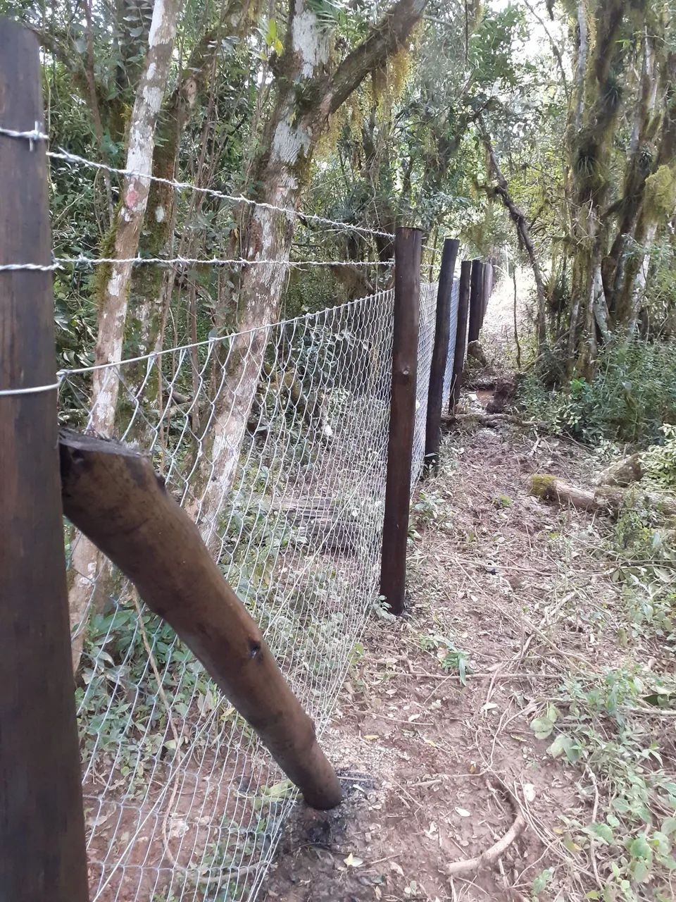 Cerca de alambrado pronta  - Foto 5