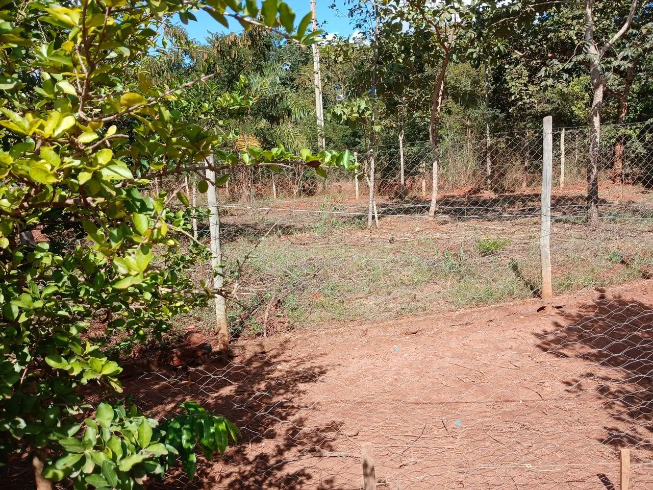 Chacara a venda  - Foto 2