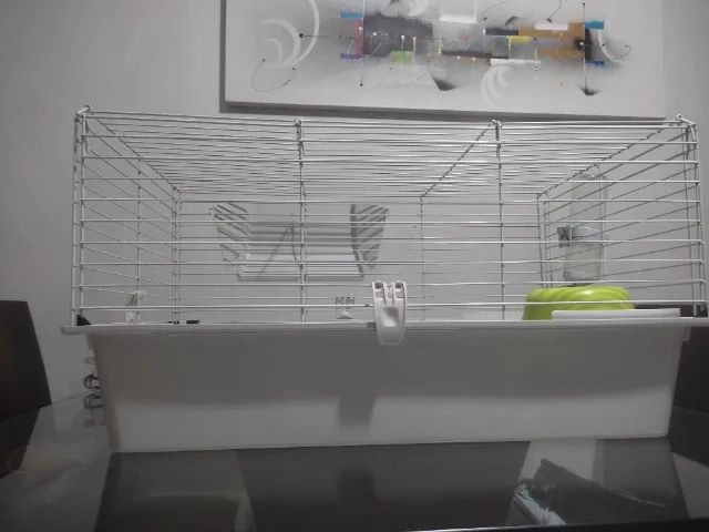 Gaiola Porquinho da Índia - Foto 3