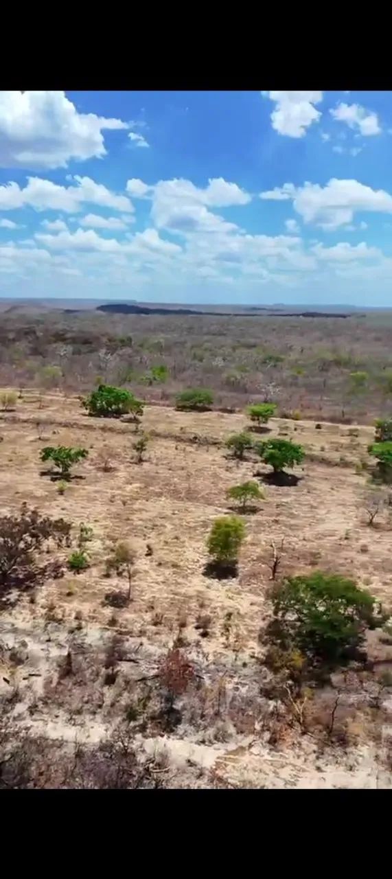 1.000 ha a venda no Piauí  - Foto 5