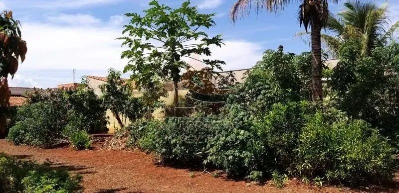 Terreno - Ribeirão Preto - Jardim Jandaia - Foto 15