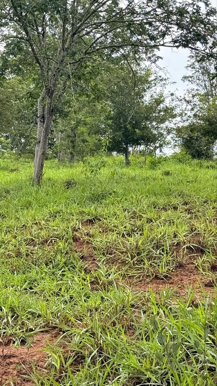 Foto - Montes Claros - São José