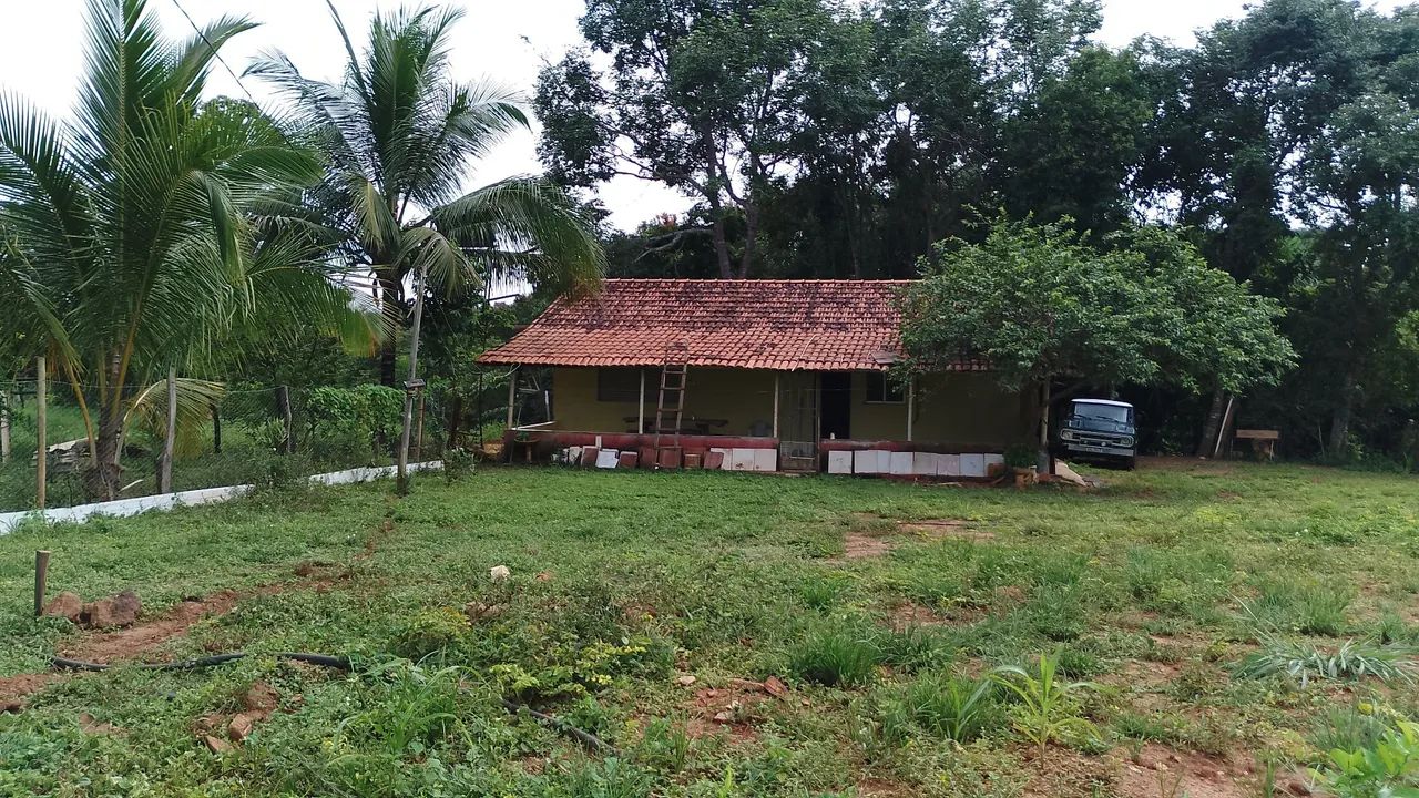 Foto - Goiânia - Jardim Europa