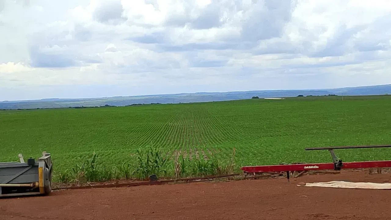 Fazenda em Pedro Afonso - TO 116 Alqueires - Foto 5