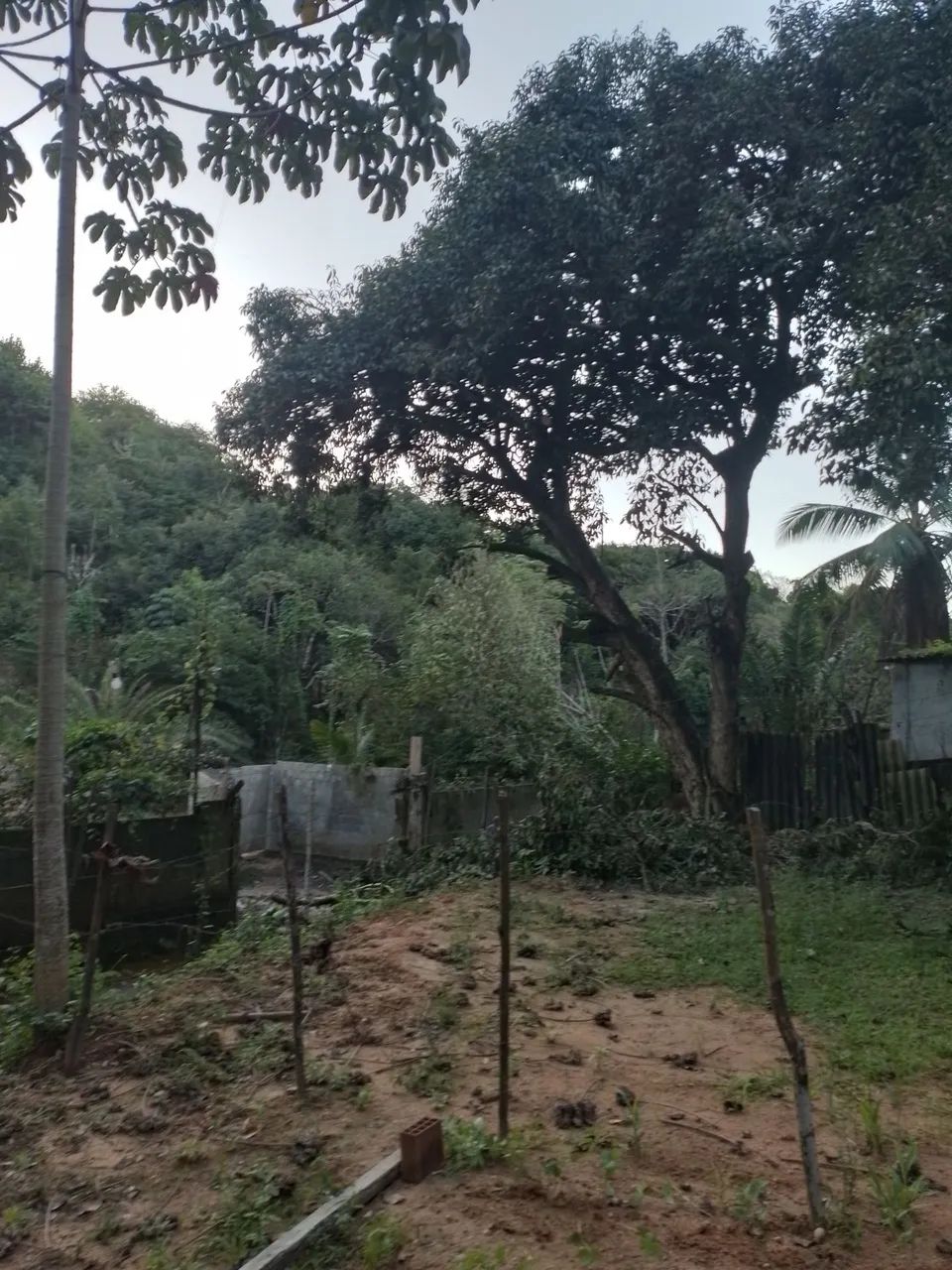 Terreno para sitio, chacara no precinho  - Foto 4