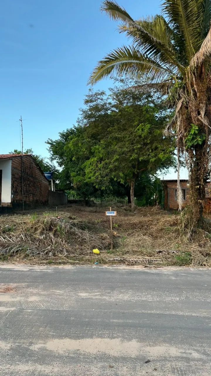 Vende-se terreno na raposa MA - Foto 3