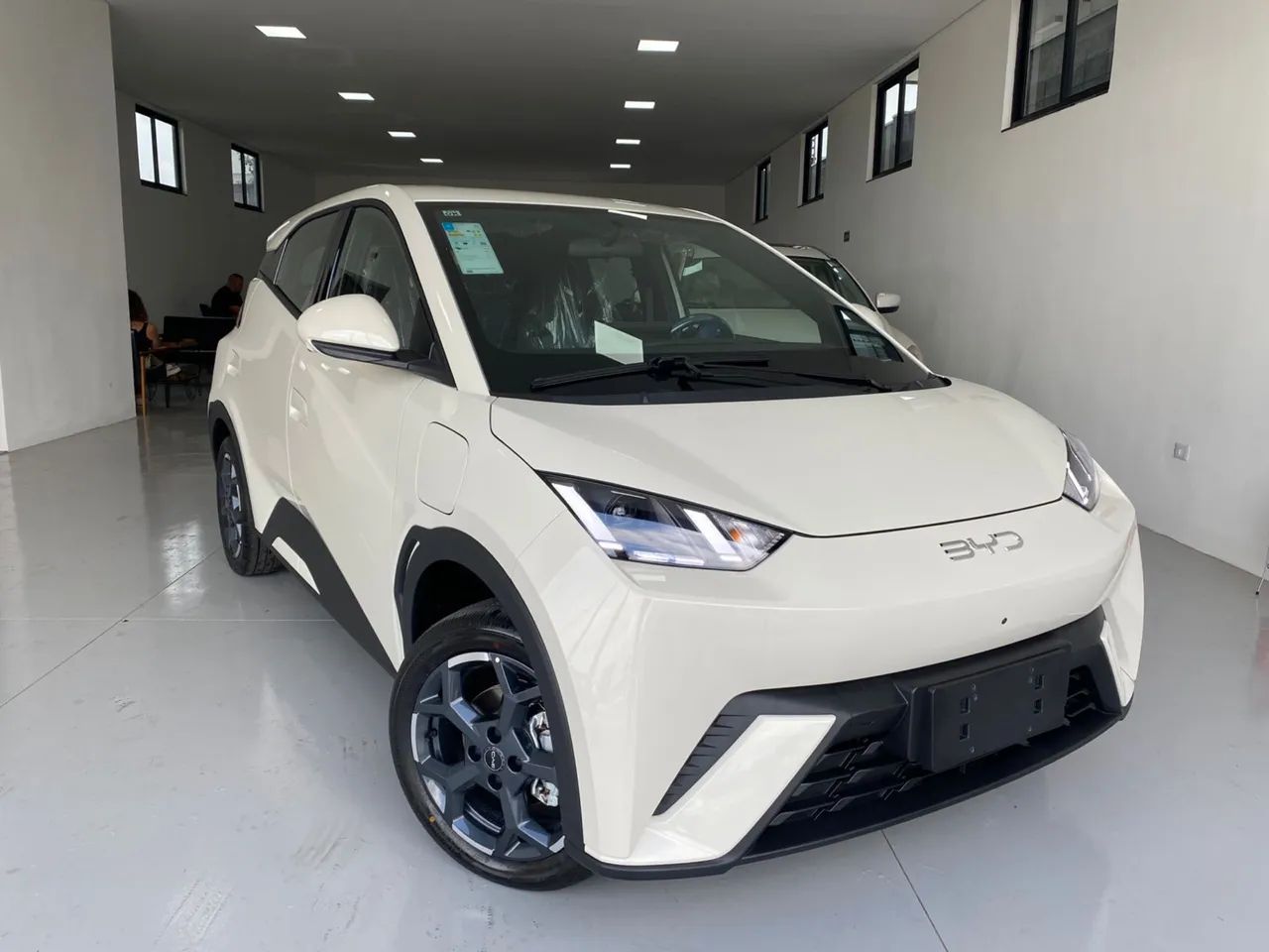 BYD Dolphin Mini (Elétrico) 2027