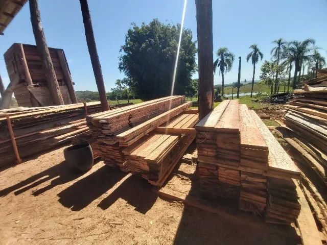 TÁBUA DE EUCALIPTO