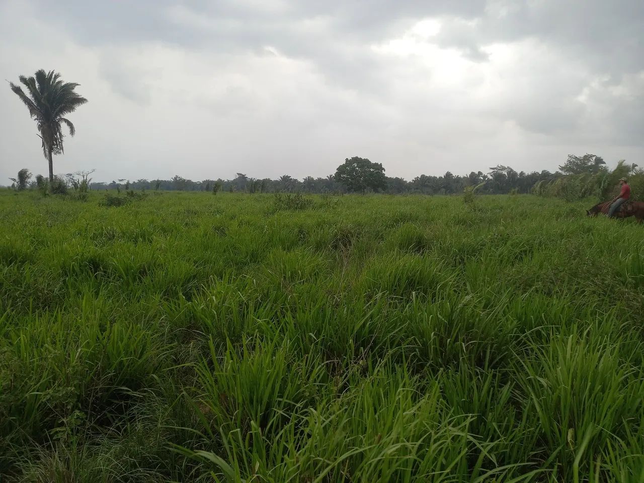 Fazenda São Cristóvão 02 - Foto 3