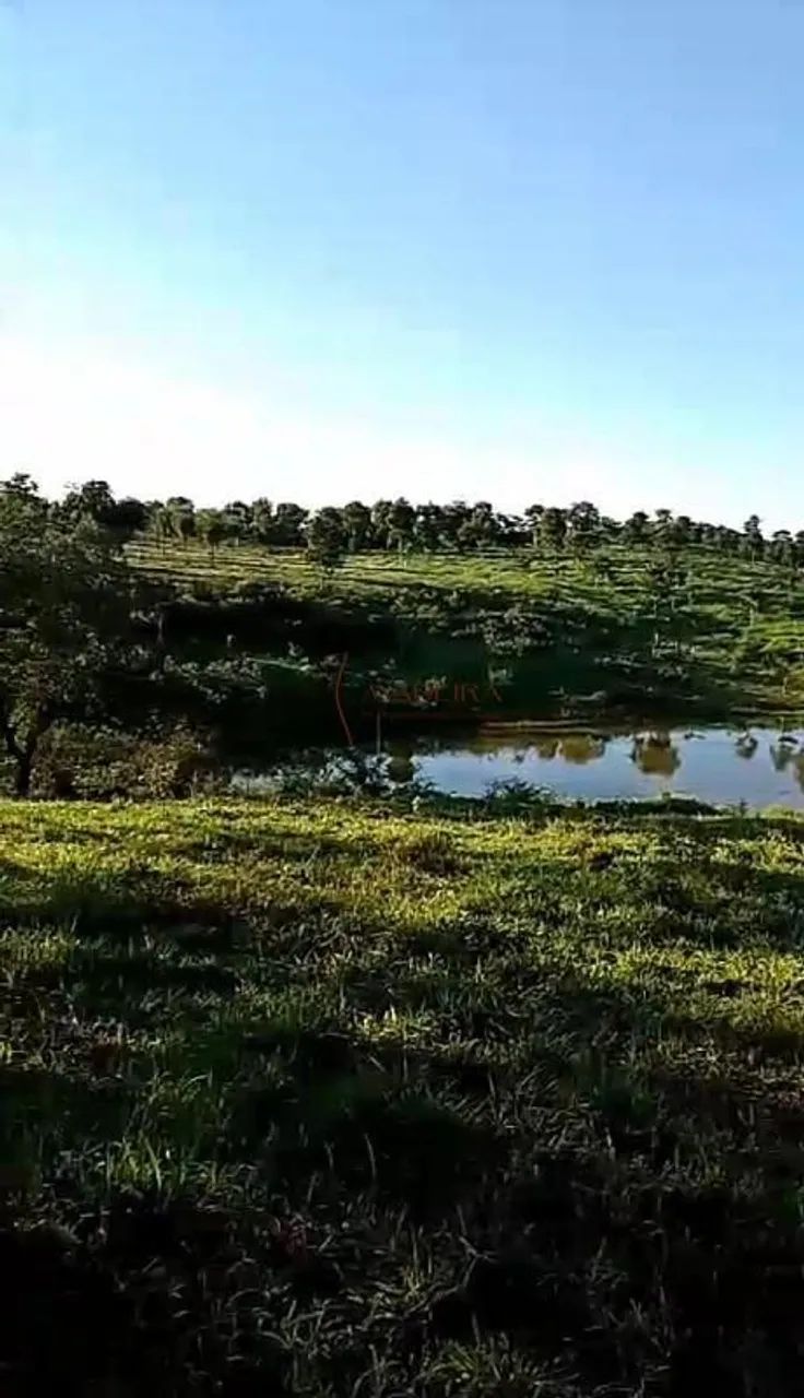 SÍTIO EM RIBEIRÃO CASCALHEIRA - Foto 2