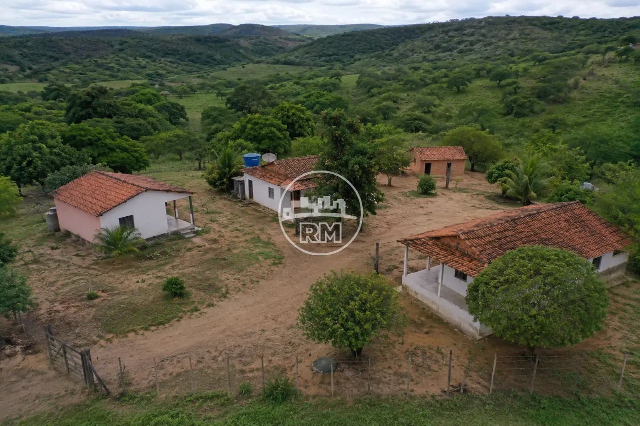 Fazenda à venda com 10 quartos no Centro/Canapi - Foto 2
