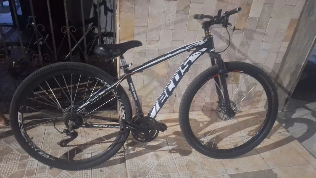 Bicicleta ecos aro 29