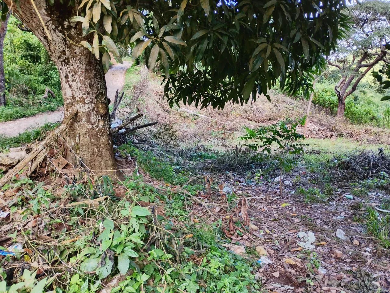 Terreno 1000m2 - Foto 4