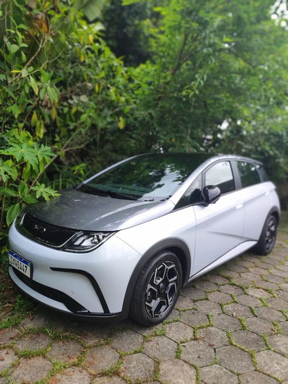 BYD Dolphin Plus (Elétrico) 2025 - Foto 3