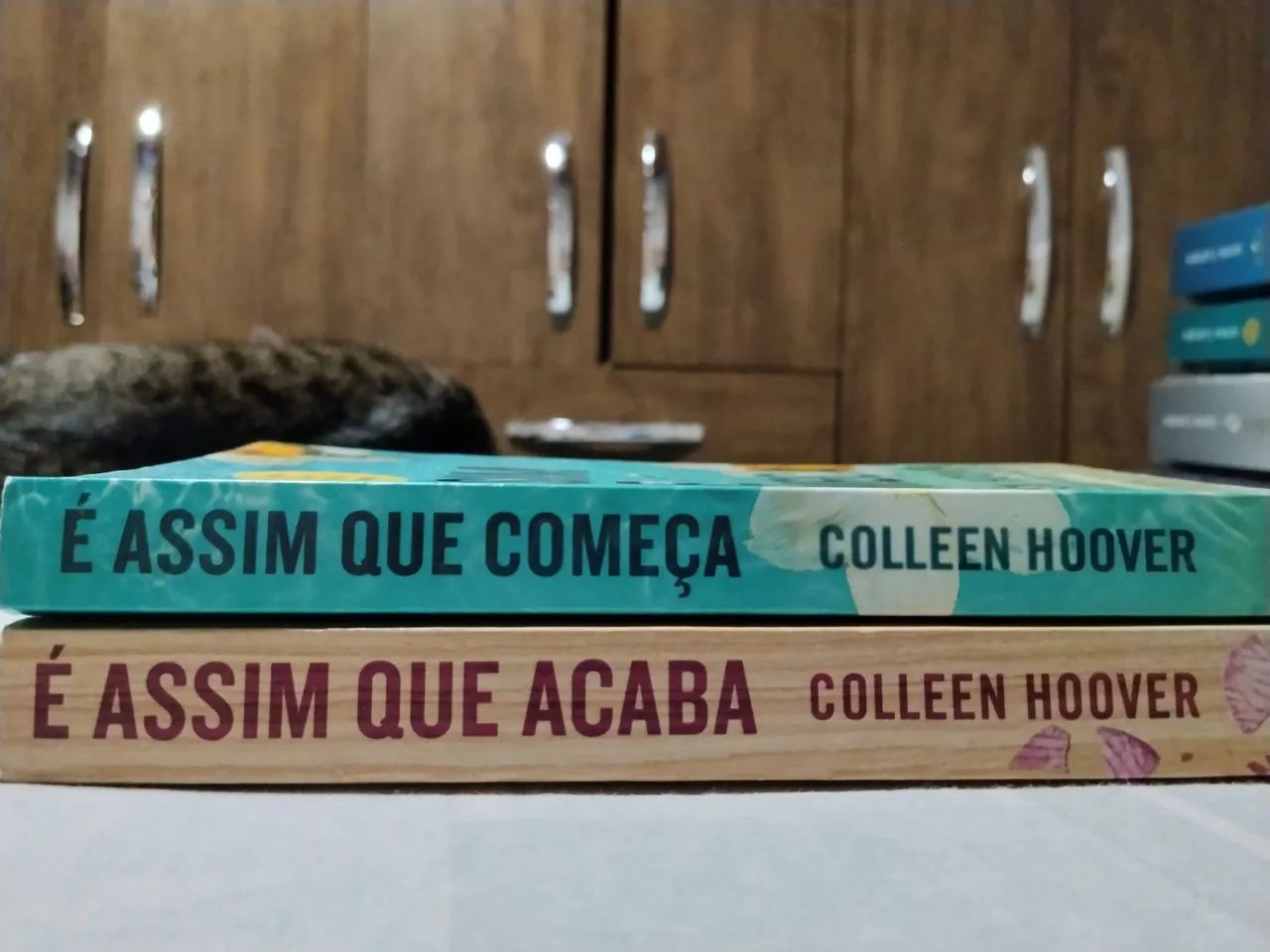Kit 2 livros é Assim que acaba  - Foto 2