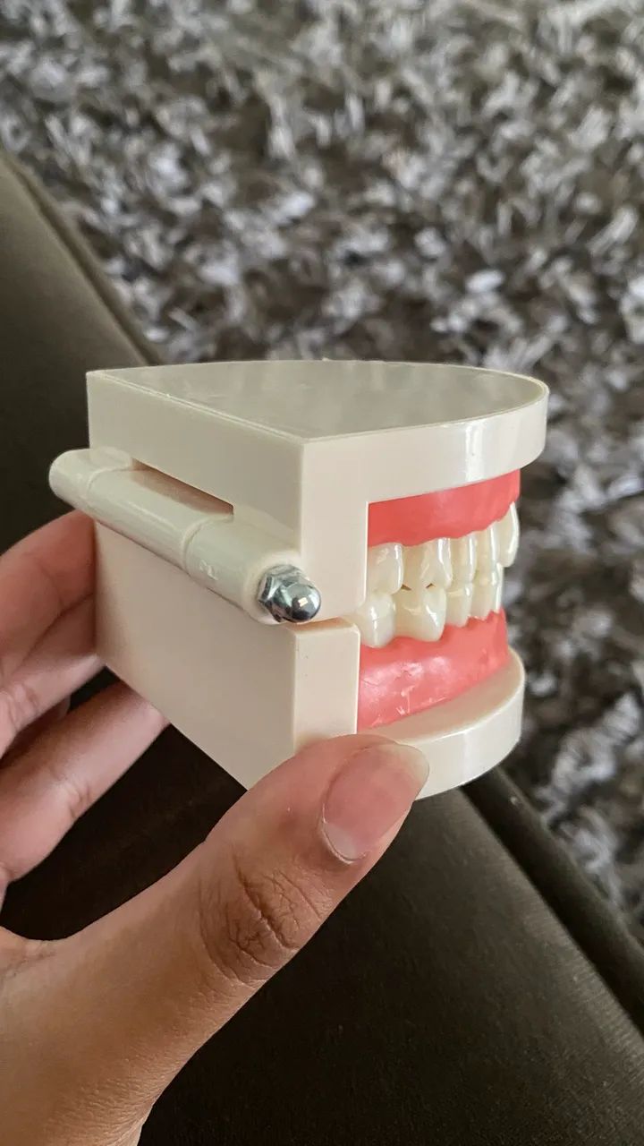 Macromodelo odontológico - manequim  - Foto 3