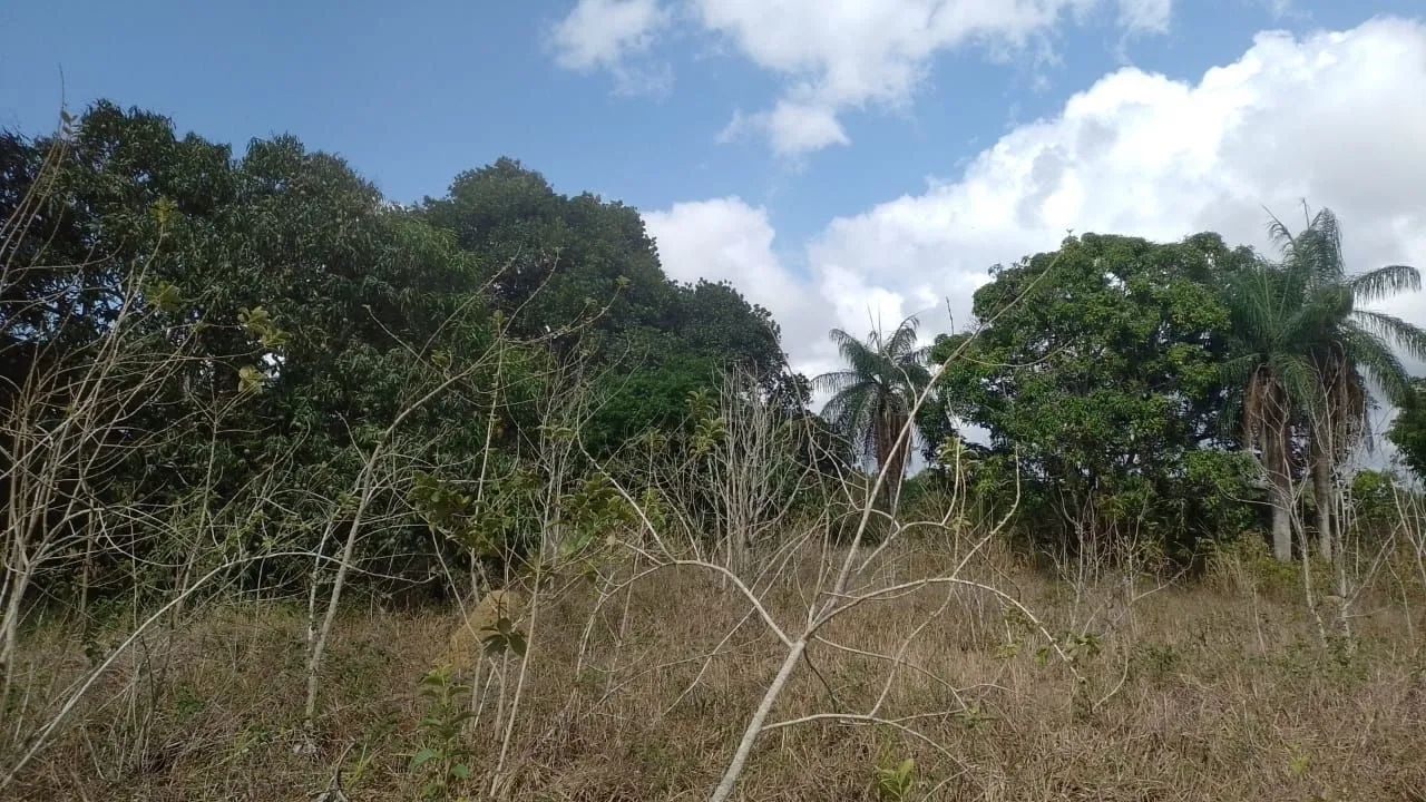 Terreno de 8360m - Foto 4