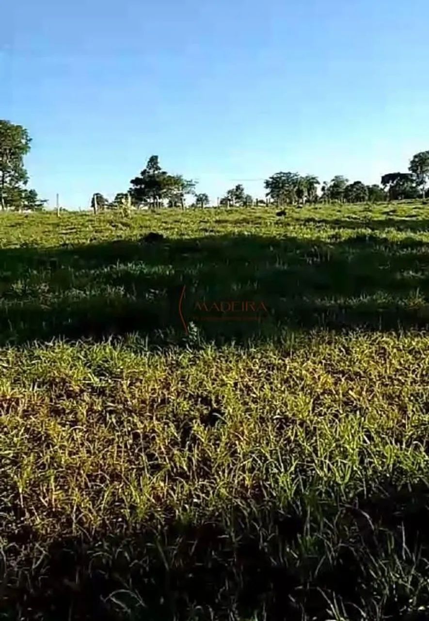 SÍTIO EM RIBEIRÃO CASCALHEIRA - Foto 3