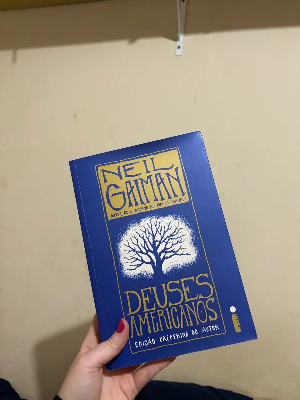 VENDO LIVRO- DEUSES AMERICANOS 