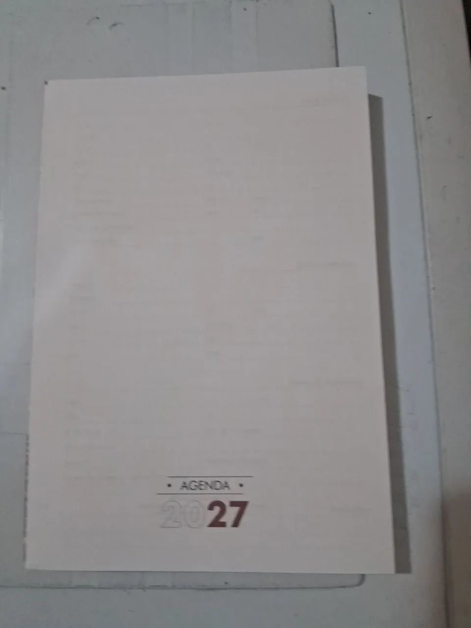 Refil agenda diária 2027.