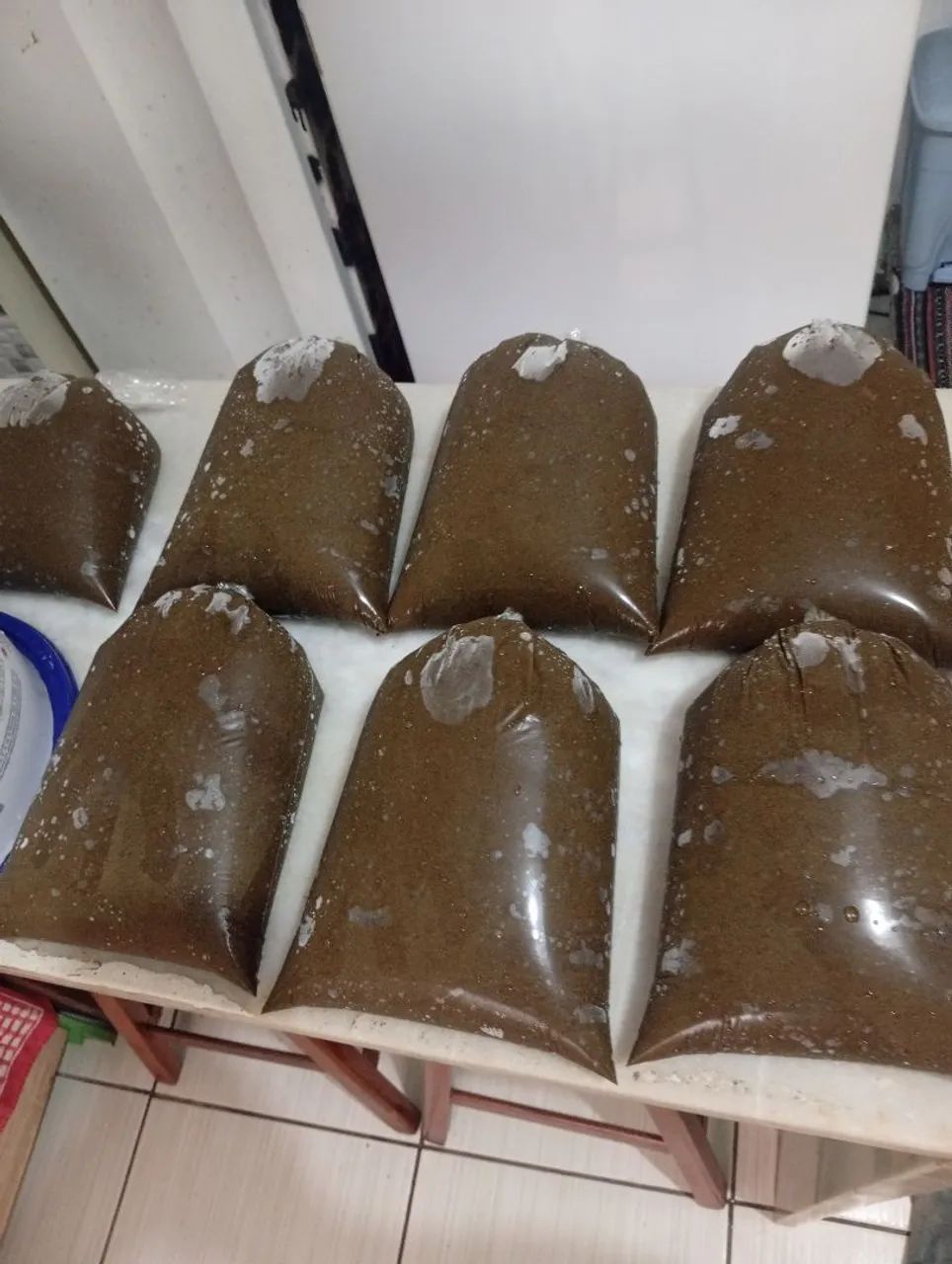 Maniçoba folha de macaxeira 