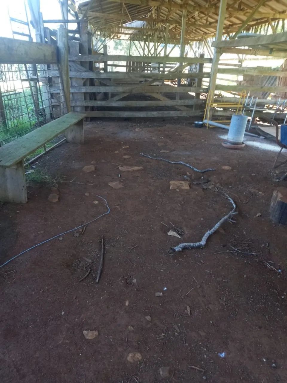 Propriedade Em Linha Putinga, Ipira - Sc. 12 Hectares Com Casa 3 Quartos - Foto 5