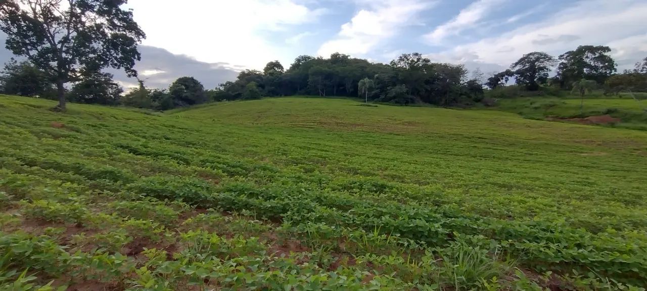 Fazenda dupla aptidão município de Coromandel  - Foto 4