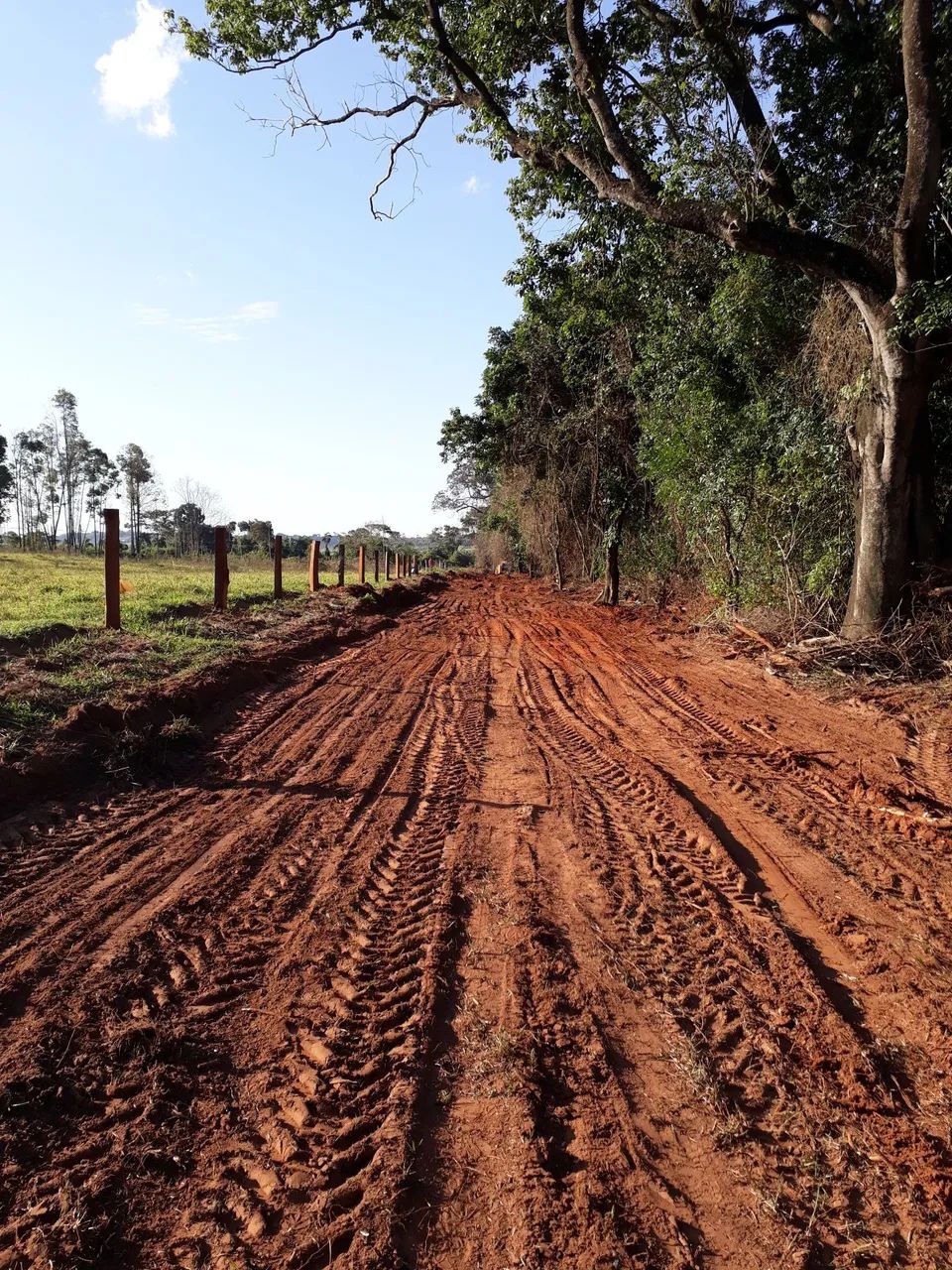 Fazenda Agrotem - Patria Mãe 