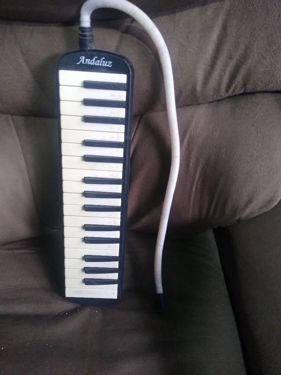Escaleta musical