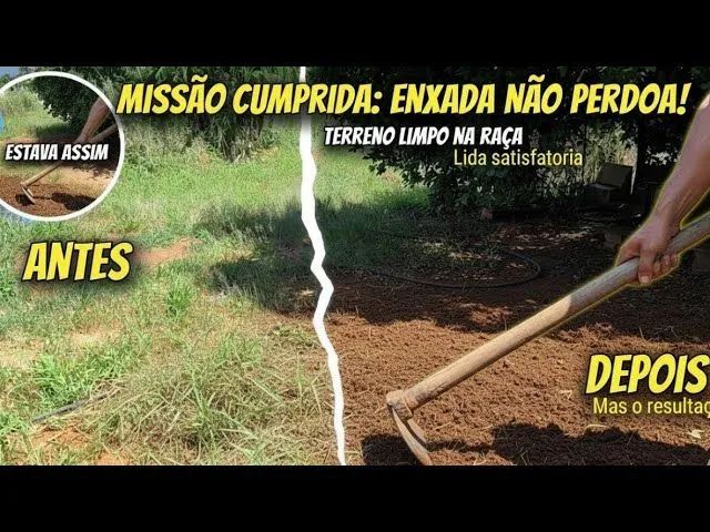 Limpeza de lotes 