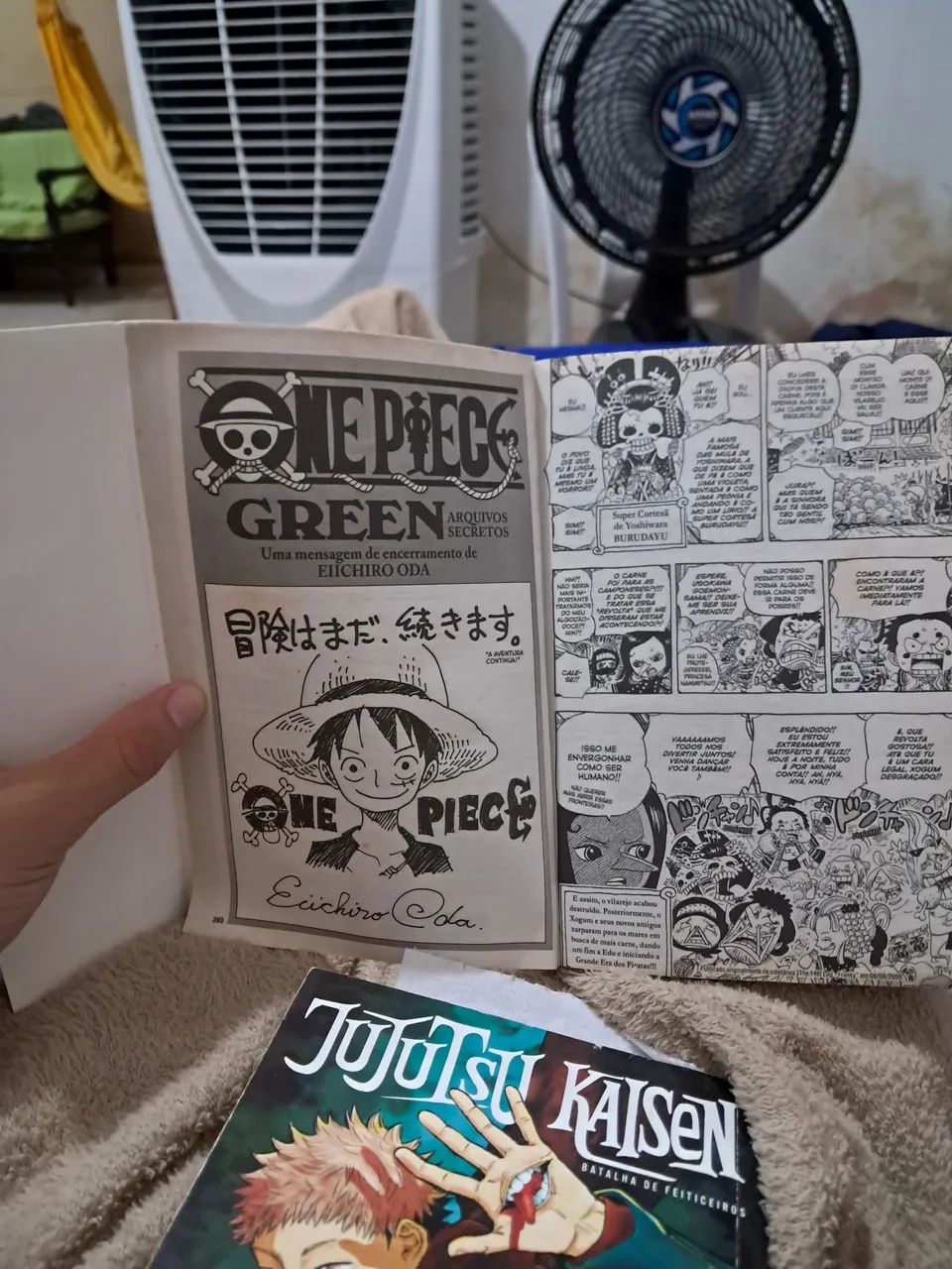 ONE PIECE GREEN SECRET PIECES (Jump Comics) (2010) ISBN