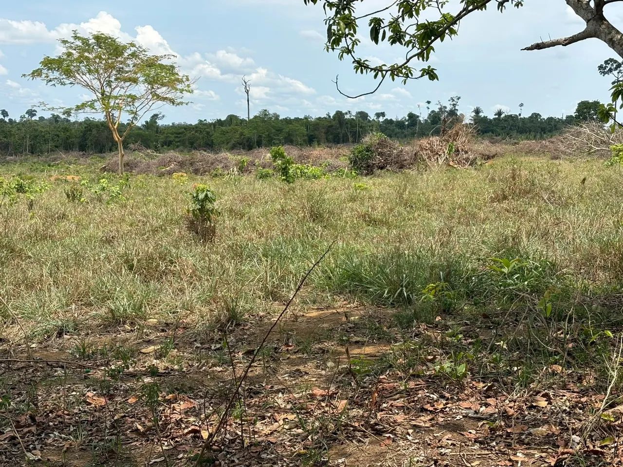 Terra títulada - Foto 4