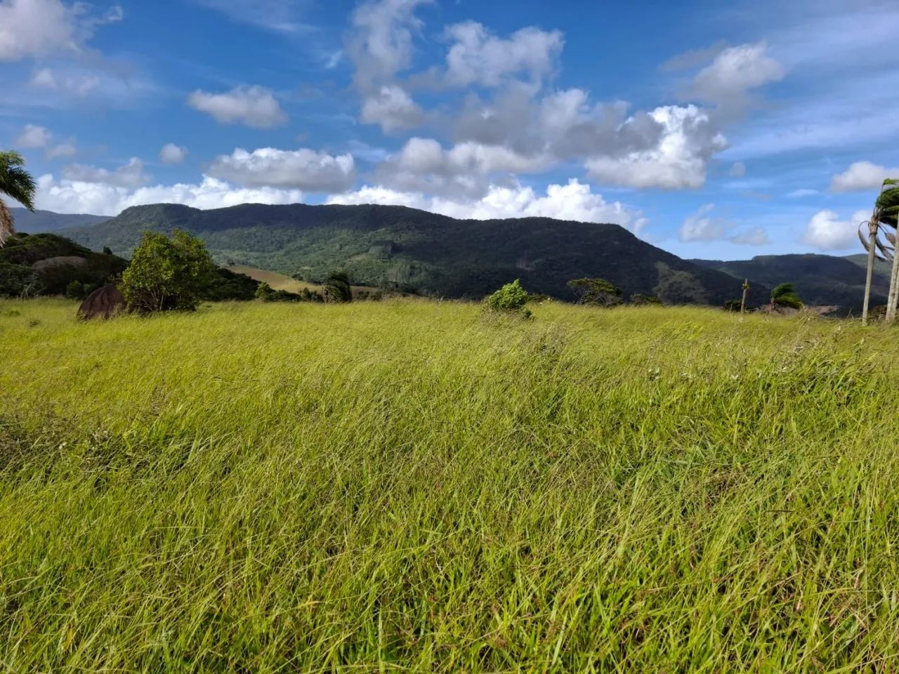 Área para Venda em Paulo Lopes, Bairro: 2 - Foto 4