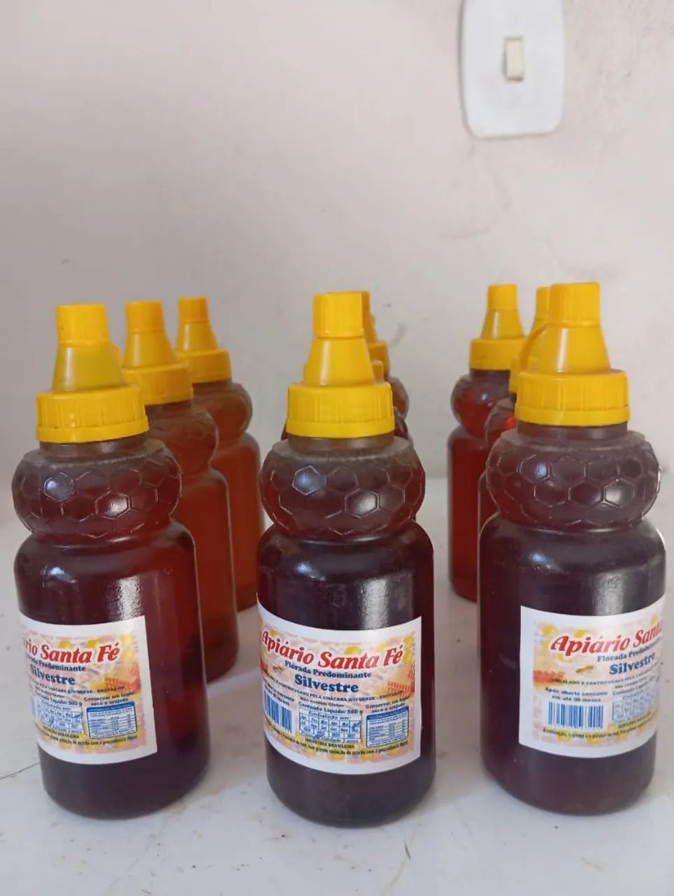 Mel Silvestre 25 reais 500g