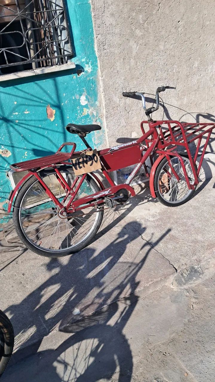 Bicicleta cargueira