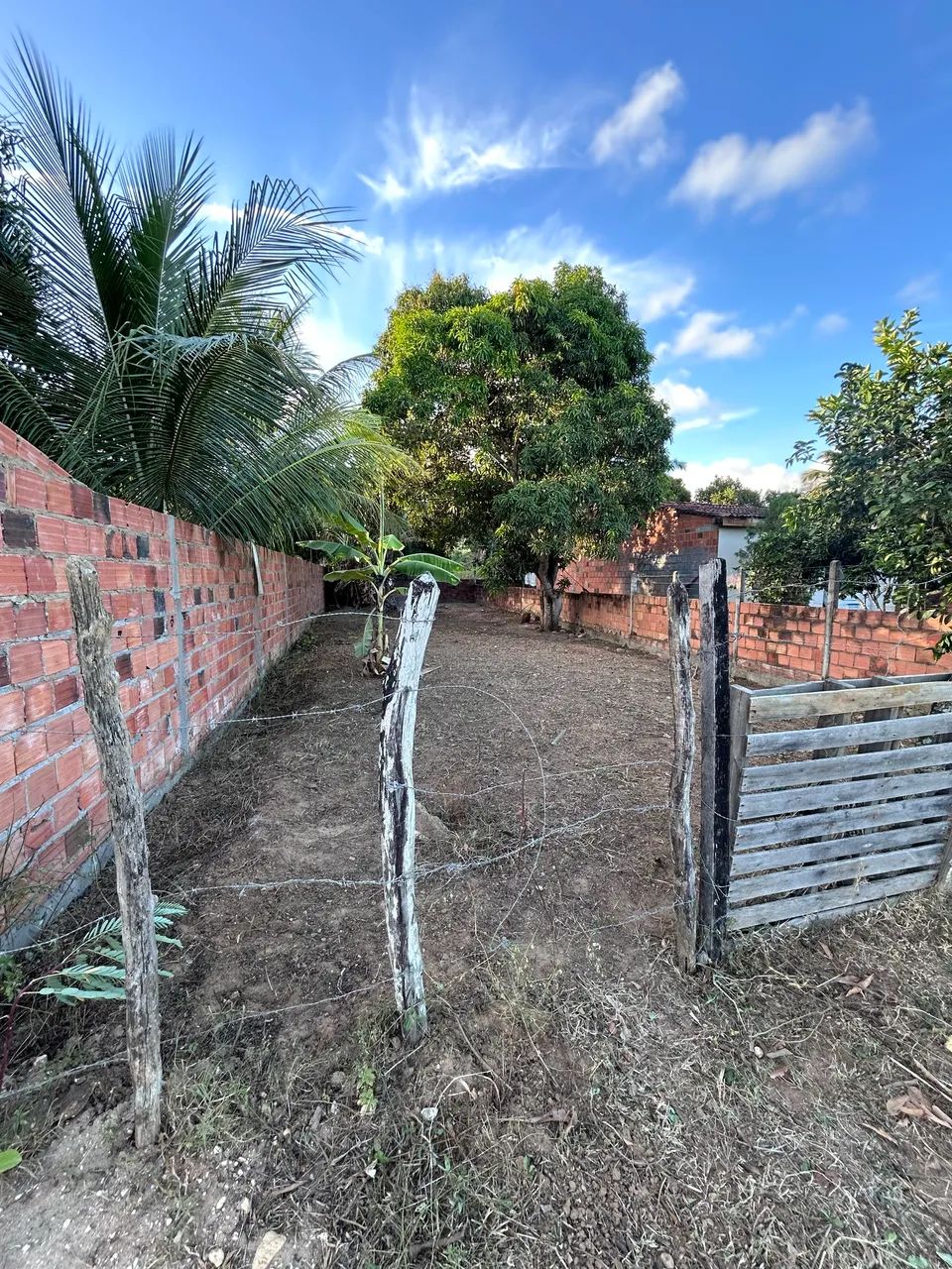 Terreno na avenida Palmeira (Carmopolis) - Foto 2