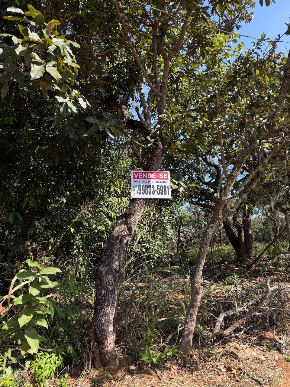 Vendo - Terreno Lagoa Santa (bairro Recanto da Lagoa) - 1.711m2 - Foto 2