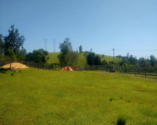 Sítio 46 hectares - lomba grande - novo hamburgo - rs - Foto 12
