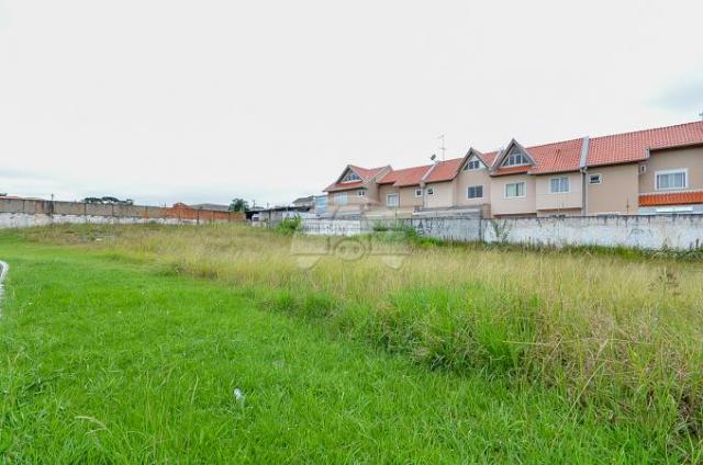 Terreno à venda em Pinheirinho, Curitiba cod:133325 - Foto 10