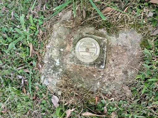 Chácara à venda em Planta laranjeiras, Piraquara cod:136698 - Foto 17