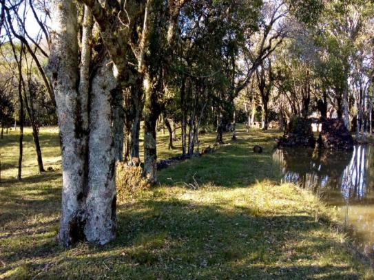 Sítio 12,0 hectares - samambaia - são francisco de paula - rs - Foto 4