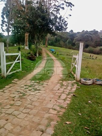 Chácara à venda em Planta laranjeiras, Piraquara cod:136698 - Foto 19