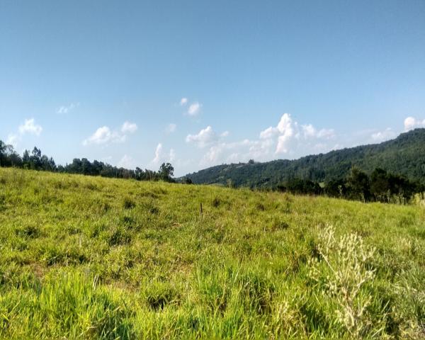 Chácara 5.000 m² - lomba grande - novo hamburgo - rs - Foto 5