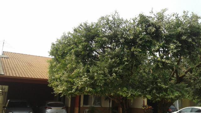 Casa Venda